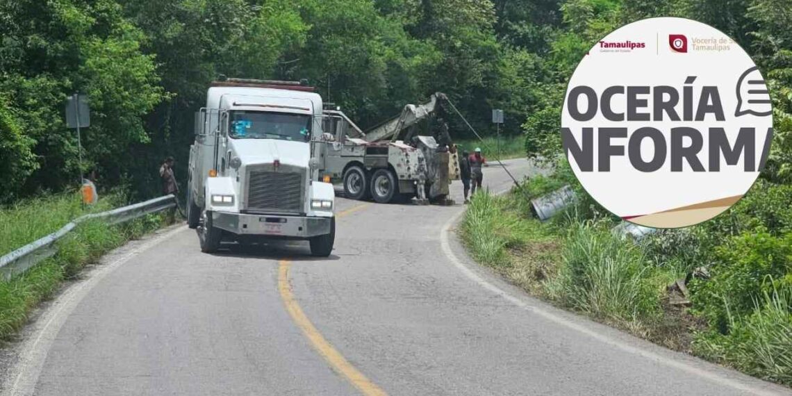 Vocería de Seguridad Mante-Llera