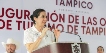 avistamiento de aves Tampico