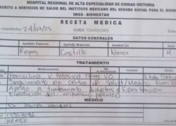 ayuda a familia en Ciudad Victoria