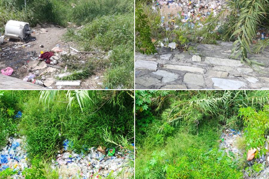 basura en río San Marcos en Victoria