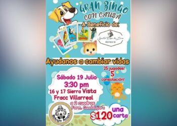 bingo para refugio en Ciudad Victoria