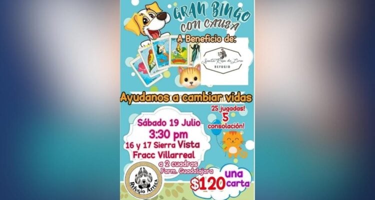 bingo para refugio en Ciudad Victoria