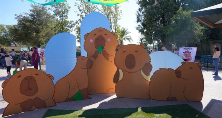 Capi Camp en zoológico de Nuevo Laredo