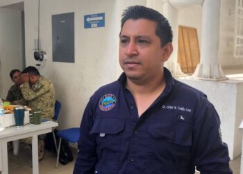 cocodrilo capturado en Tampico