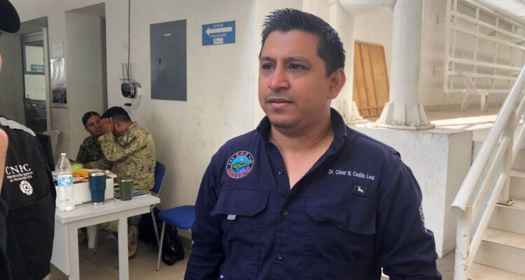 cocodrilo capturado en Tampico