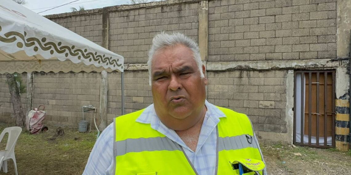 cocodrilo en casa de Ciudad Madero