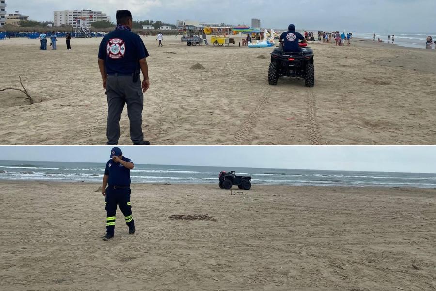 cocodrilo en el río Pánuco