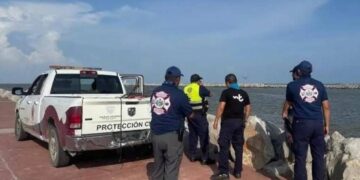 cocodrilo en el río Pánuco