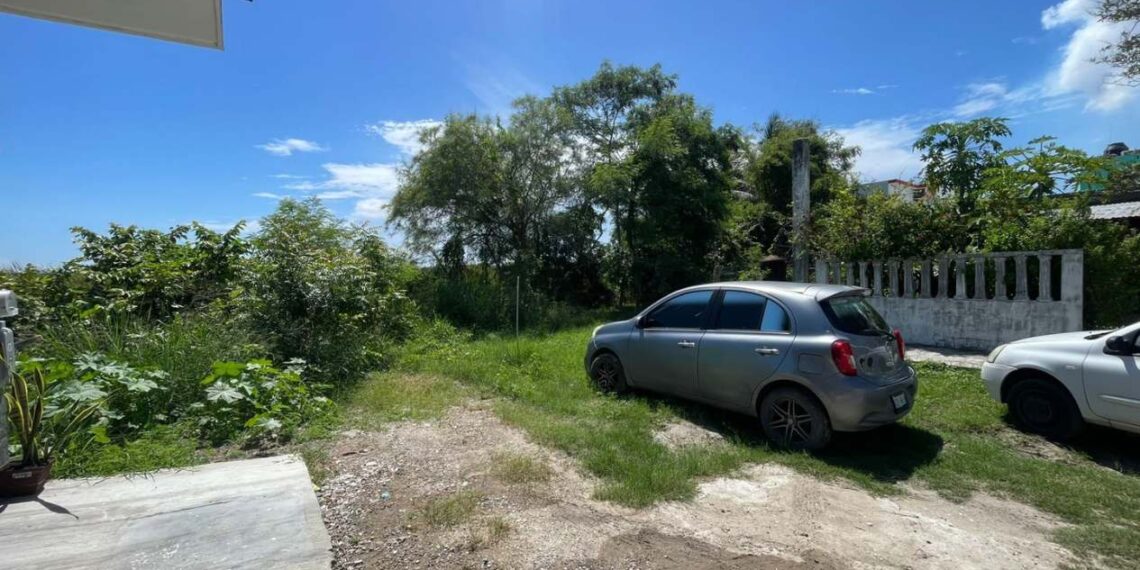 cocodrilos en calles de Ciudad Madero