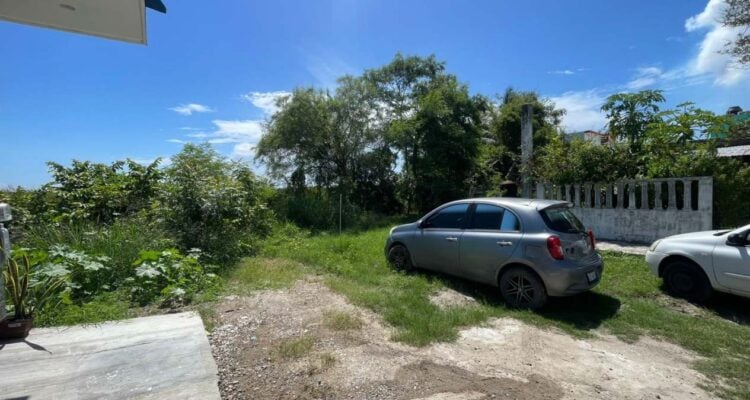 cocodrilos en calles de Ciudad Madero