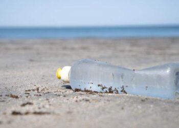 contaminación en playas de Tamaulipas