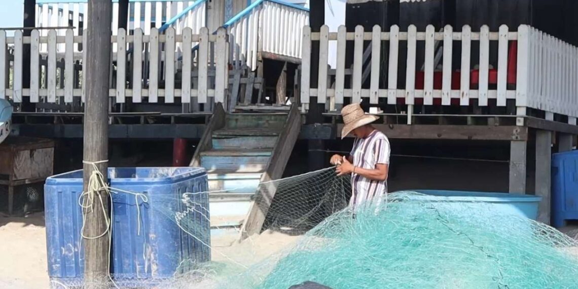 cooperativas pesqueras en Matamoros