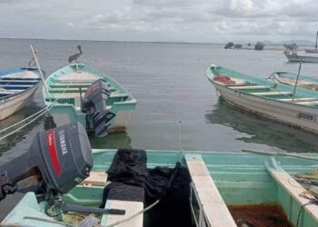 créditos para pescadores en Matamoros