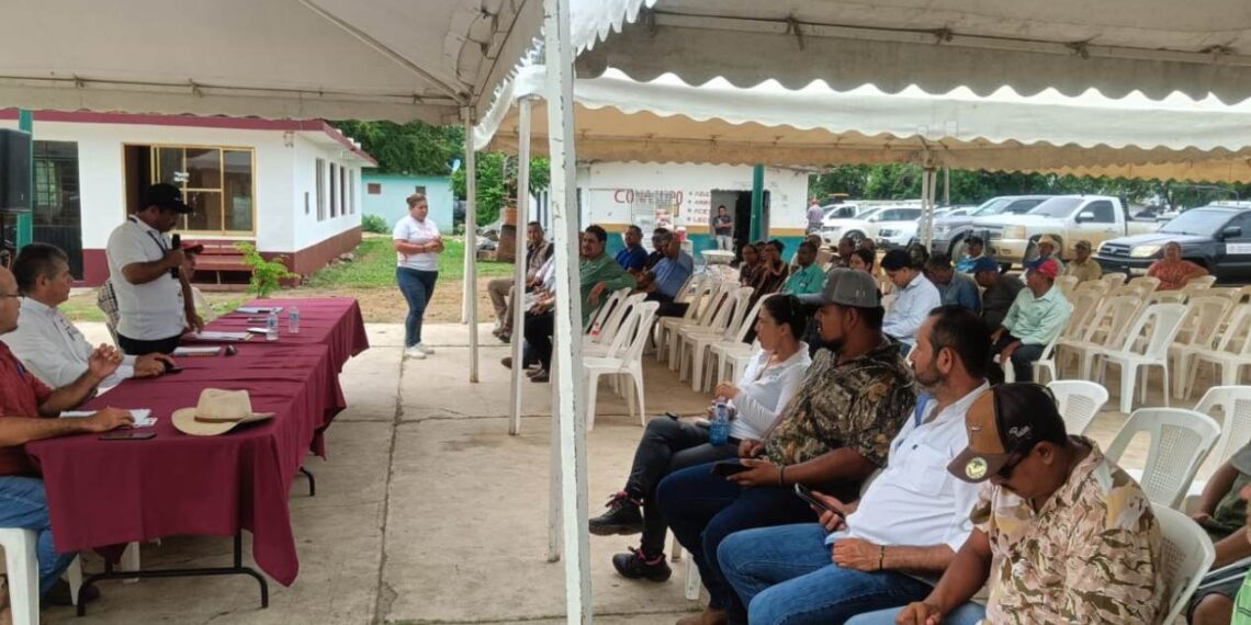 cultivo de ostión en Tamaulipas