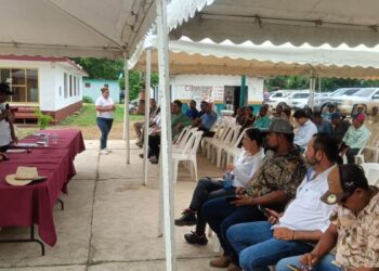 cultivo de ostión en Tamaulipas