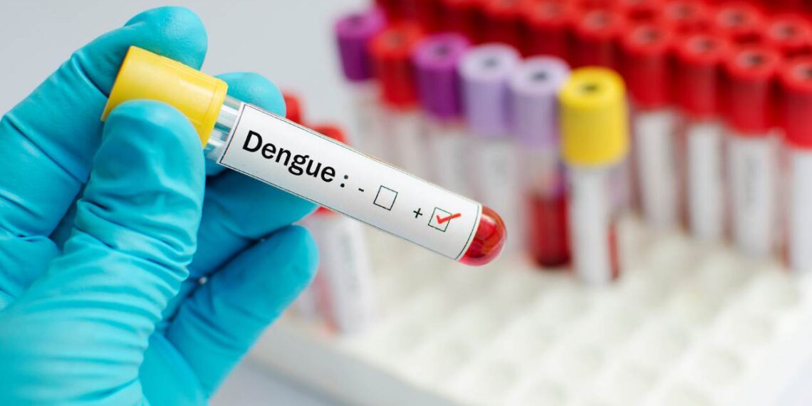 dengue en México