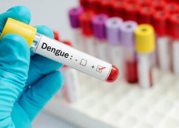 dengue en México
