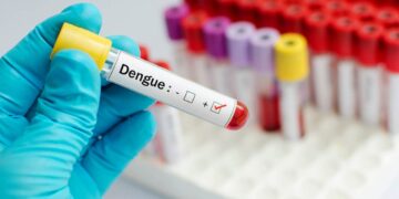 dengue en México
