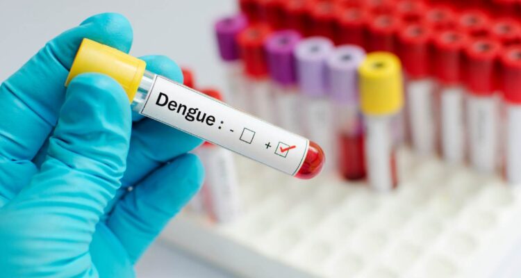 dengue en México
