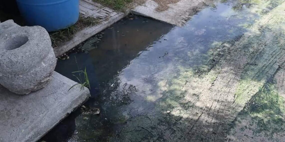 denuncia por aguas negras en Matamoros