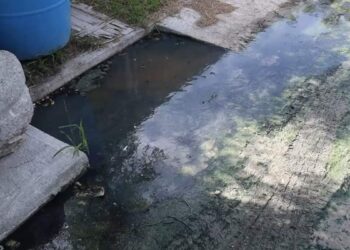denuncia por aguas negras en Matamoros