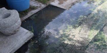 denuncia por aguas negras en Matamoros