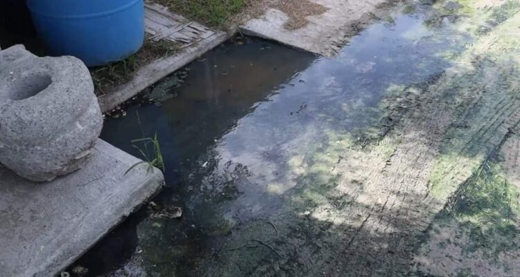 denuncia por aguas negras en Matamoros
