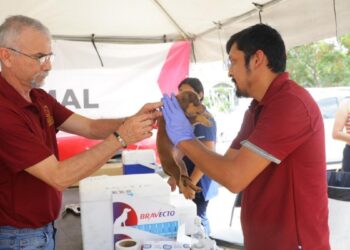esterilización de mascotas gratis Nuevo Laredo