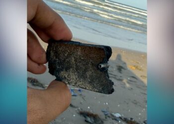 impacto ambiental SpaceX Matamoros