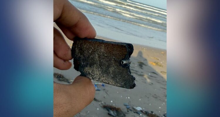 impacto ambiental SpaceX Matamoros
