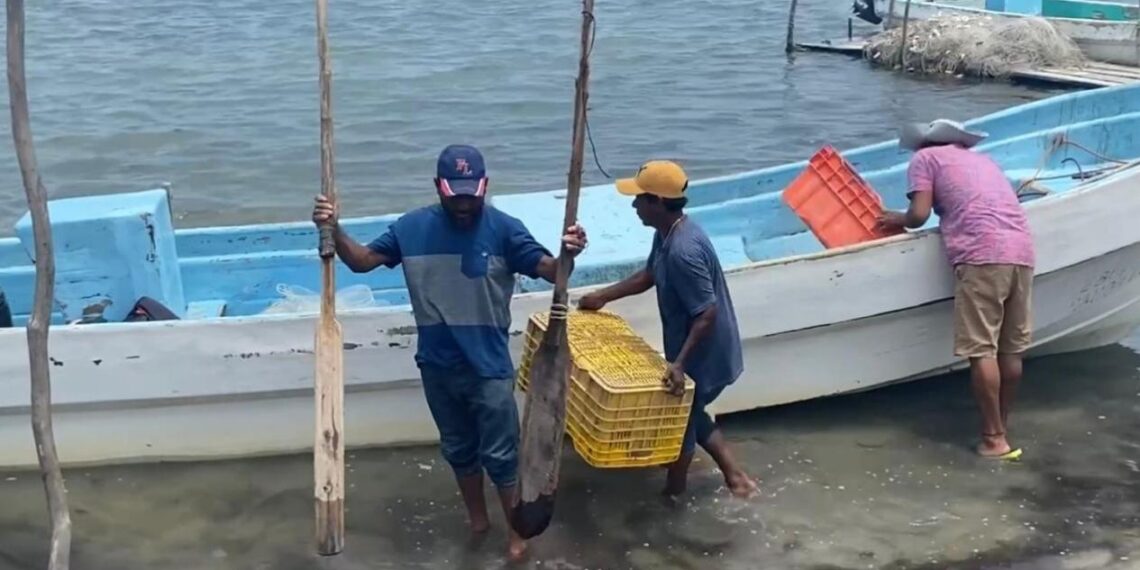 lanzamientos SpaceX Matamoros