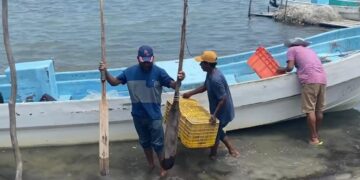 lanzamientos SpaceX Matamoros