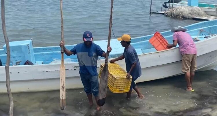 lanzamientos SpaceX Matamoros