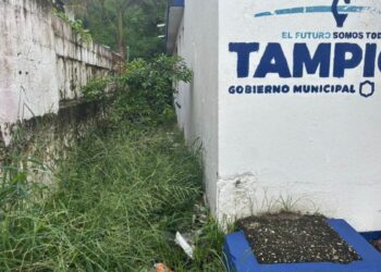módulo del Instituto de la Mujer en Tampico