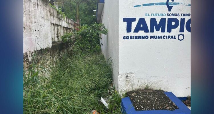 módulo del Instituto de la Mujer en Tampico