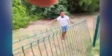 niño en zona de cocodrilos en Tampico