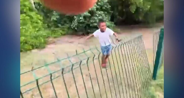 niño en zona de cocodrilos en Tampico