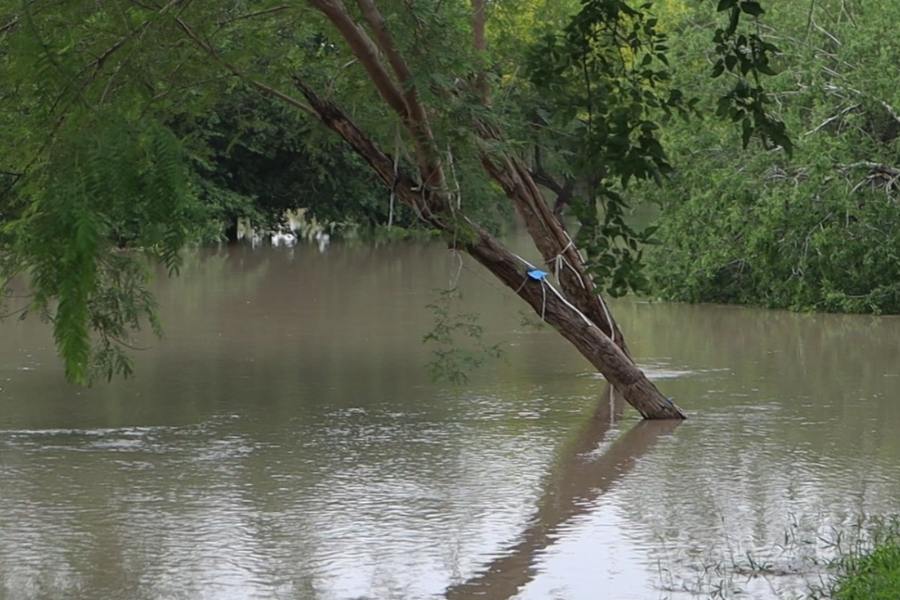 nivel del río bravo matamoros