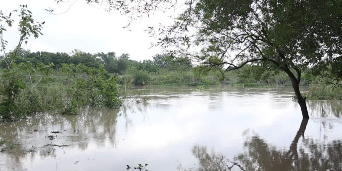 nivel del río bravo matamoros