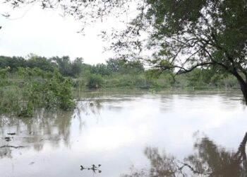 nivel del río bravo matamoros