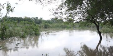 nivel del río bravo matamoros