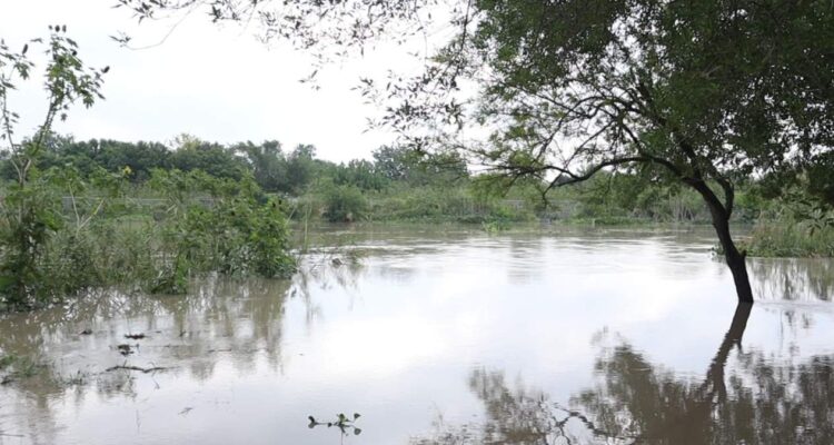 nivel del río bravo matamoros