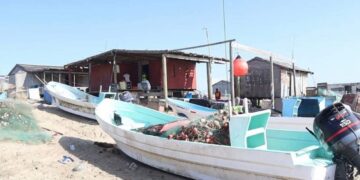 padrón pesquero de tamaulipas