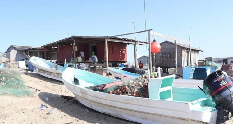 padrón pesquero de tamaulipas