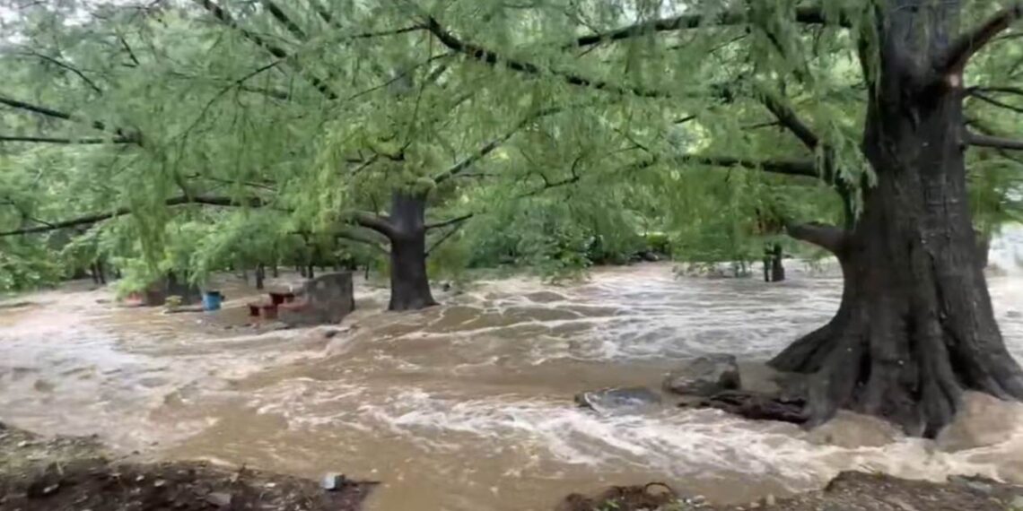 parque ecológico los troncones en tamaulipas