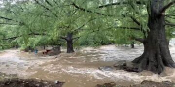 parque ecológico los troncones en tamaulipas
