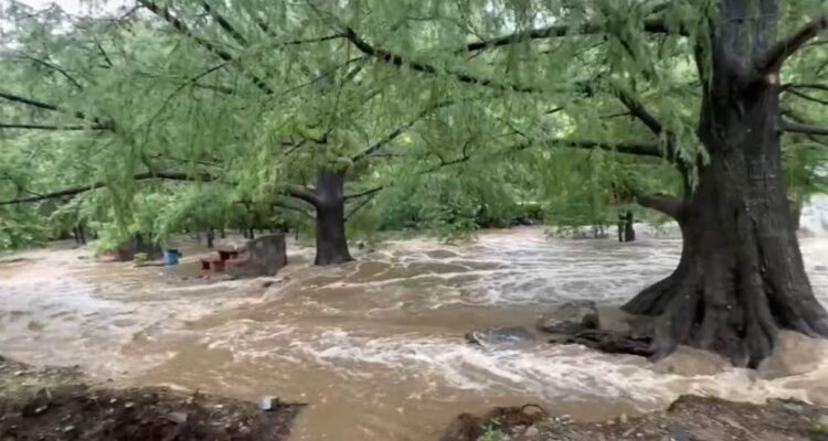 parque ecológico los troncones en tamaulipas