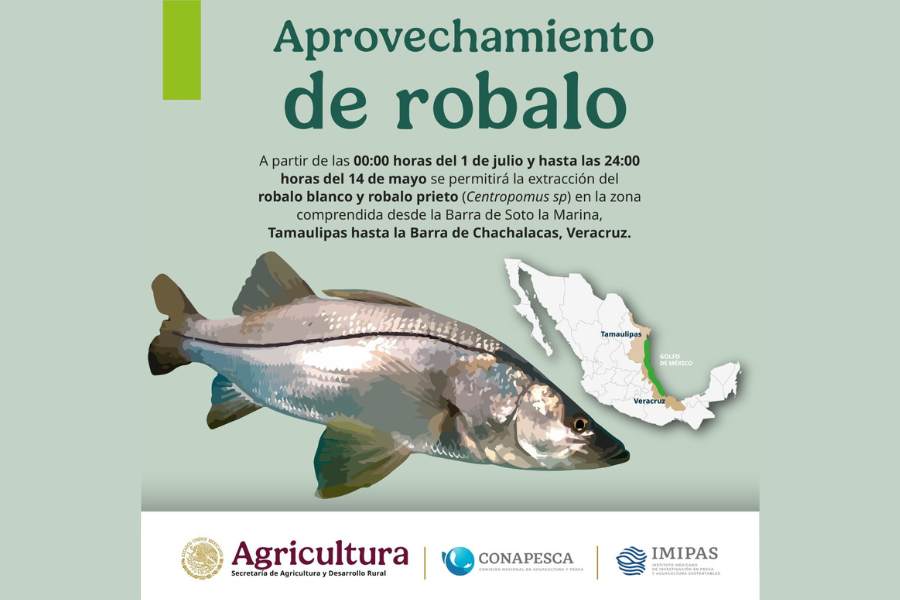 pesca de robalo en Tamaulipas
