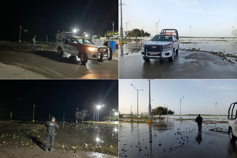 Plan Tamaulipas de la Guardia Estatal