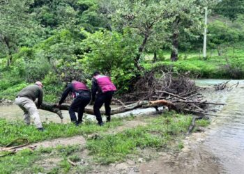 Plan Tamaulipas en Tula